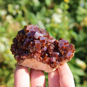 Vanadinit - Natürliche Kristallstufe aus Marokko 8x5x5cm - 0,32kg Nr.39 in der Hand, leuchtend rot-orange Kristalle.