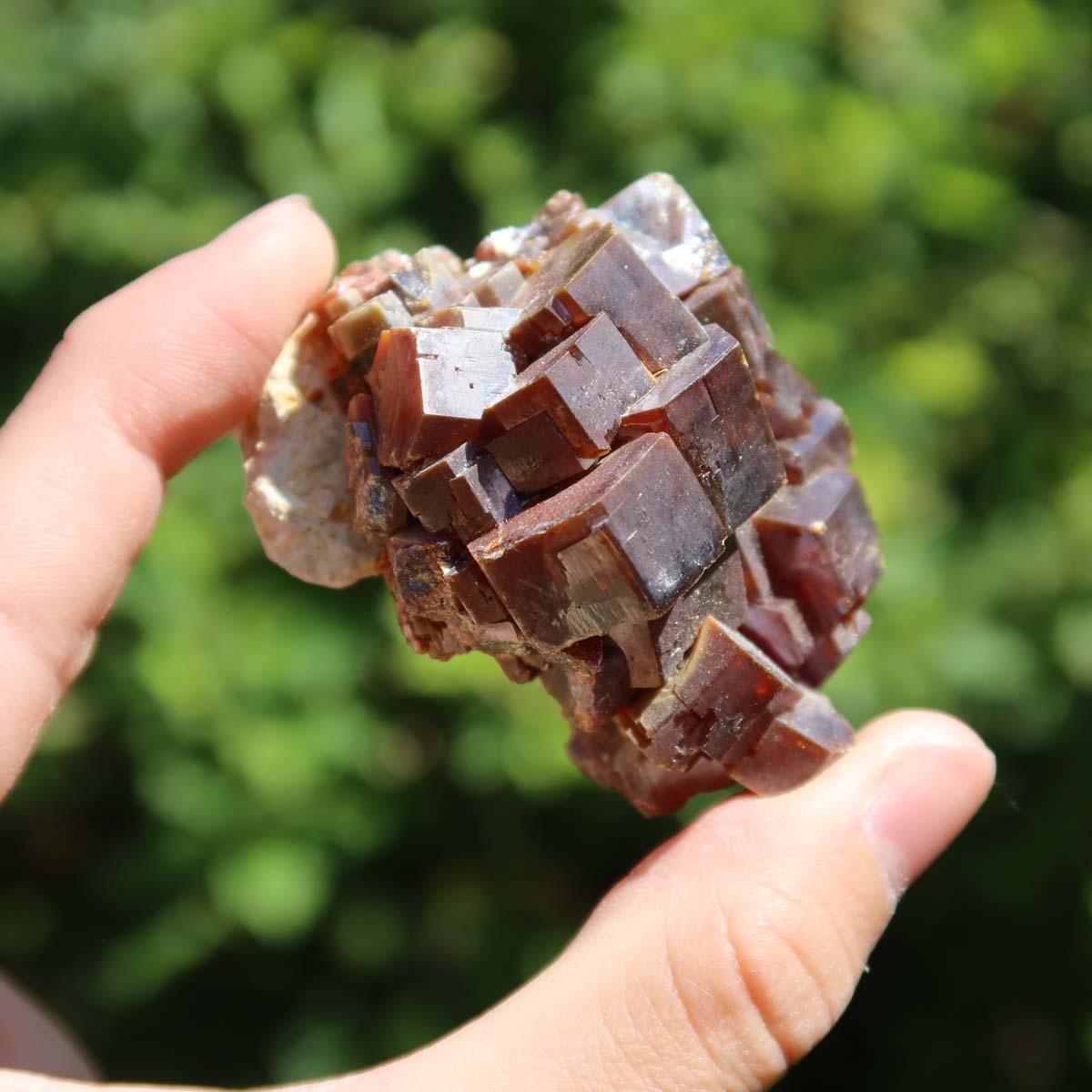 Vanadinit - Natürliche Kristallstufe aus Marokko 5x4x4cm - 0,17kg Nr.10 in der Hand, leuchtend rot- bis orangefarben.