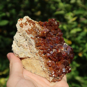 Vanadinit - Natürliche Kristallstufe aus Marokko 10x8x5cm - 0,54kg Nr.97 in der Hand, leuchtend rot-orangefarbene Kristalle.