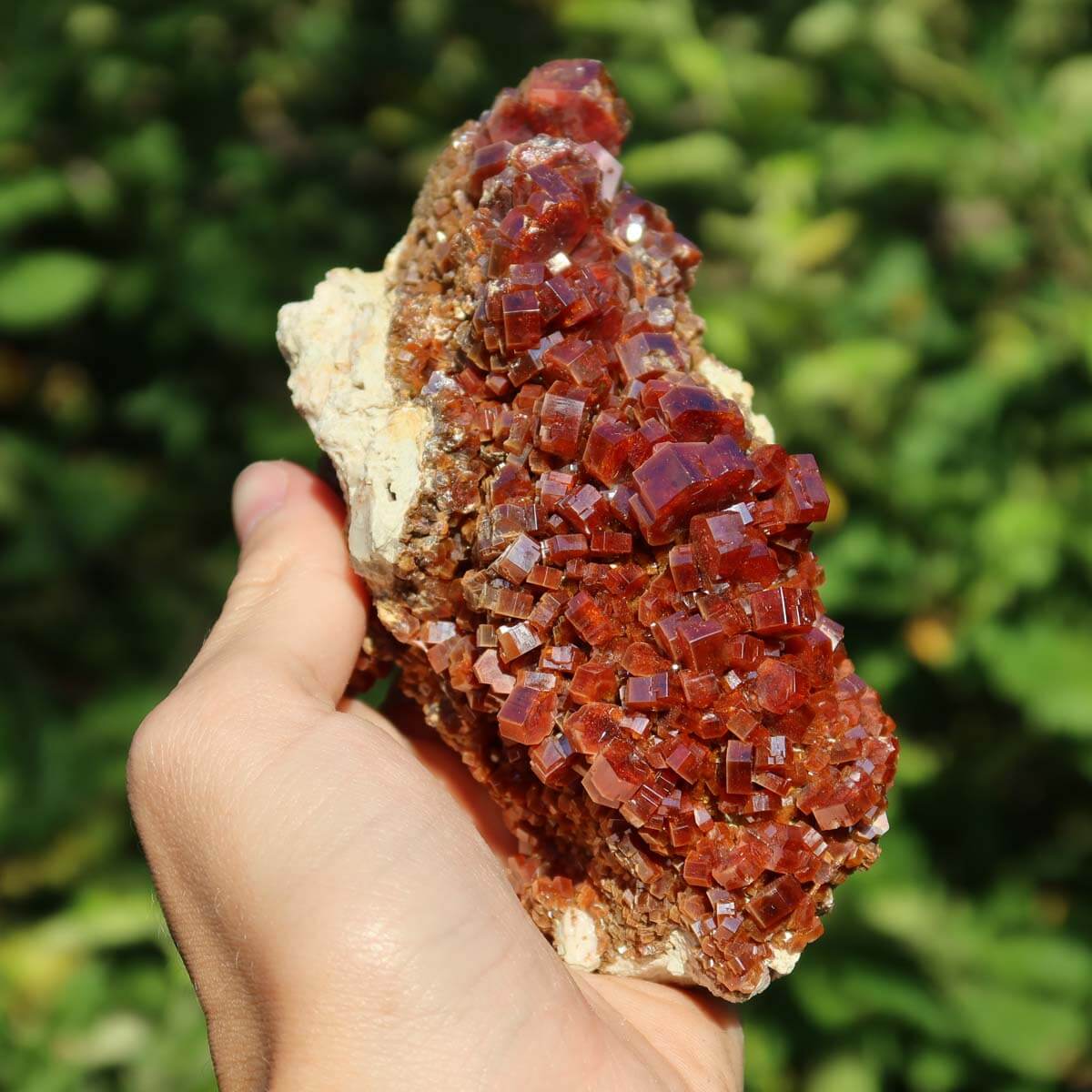 Vanadinit - Natürliche Kristallstufe aus Marokko 12x7x5cm - 0,62kg Nr.96 in Hand, leuchtende rot- bis orangefarbene Kristalle.