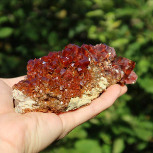 Vanadinit - Natürliche Kristallstufe aus Marokko 12x7x5cm - 0,62kg Nr.96 in der Hand mit glühenden roten Kristallen.