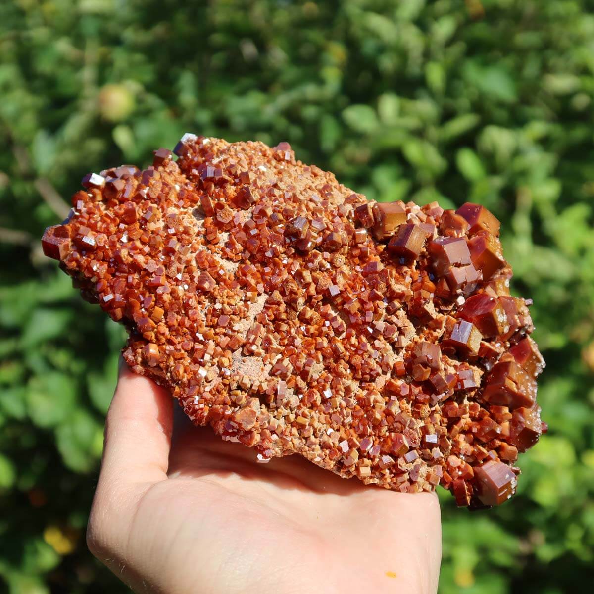 Vanadinit - Natürliche Kristallstufe aus Marokko 14x8x5,5cm - 0,92kg Nr.59 in Hand gehalten mit grünem Hintergrund.