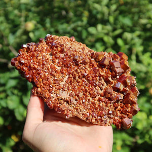Vanadinit - Natürliche Kristallstufe aus Marokko 14x8x5,5cm - 0,92kg Nr.59 in Hand gehalten mit grünem Hintergrund.