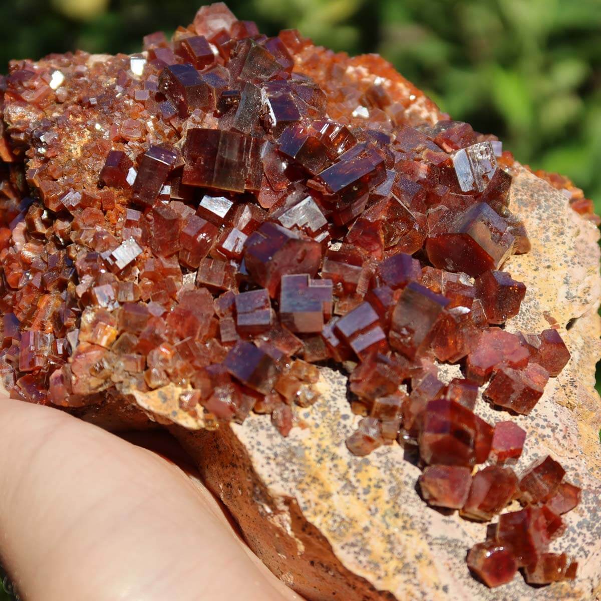 Vanadinit - Natürliche Kristallstufe aus Marokko 16x11x4cm - 0,91kg Nr.91 in Hand gehalten vor grünem Hintergrund.