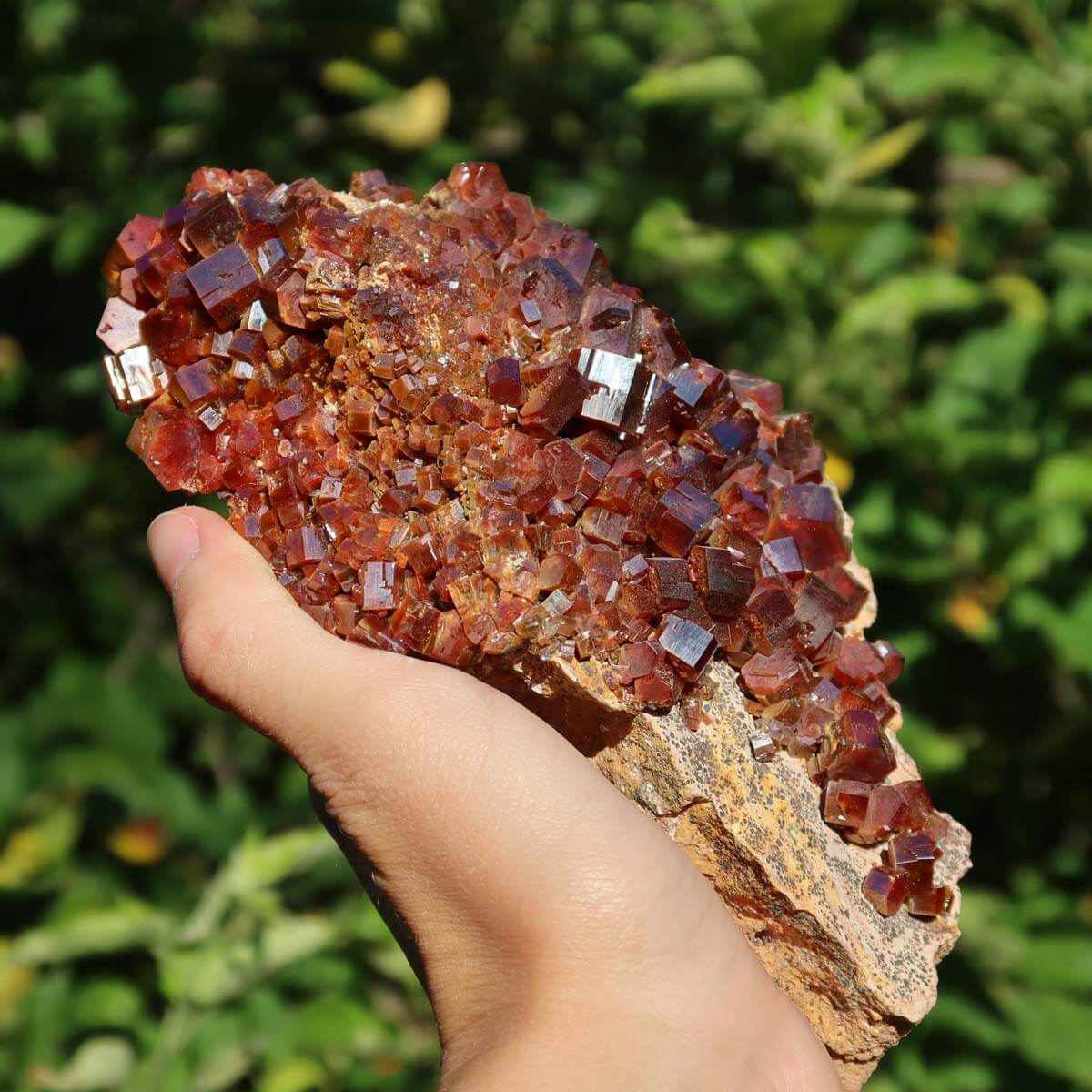 Vanadinit - Natürliche Kristallstufe aus Marokko 16x11x4cm - 0,91kg Nr.91 in Hand gehalten vor grünem Hintergrund.