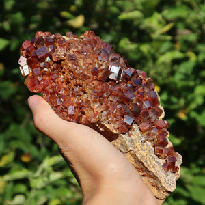 Vanadinit - Natürliche Kristallstufe aus Marokko 16x11x4cm - 0,91kg Nr.91 in Hand gehalten vor grünem Hintergrund.