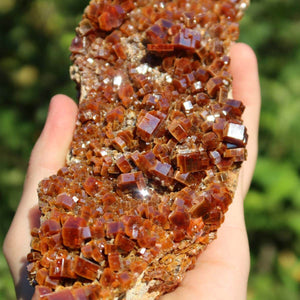 Vanadinit - Natürliche Kristallstufe aus Marokko 17x6x5cm - 0,7kg Nr.94 in Hand gehalten, leuchtende Kristalle
