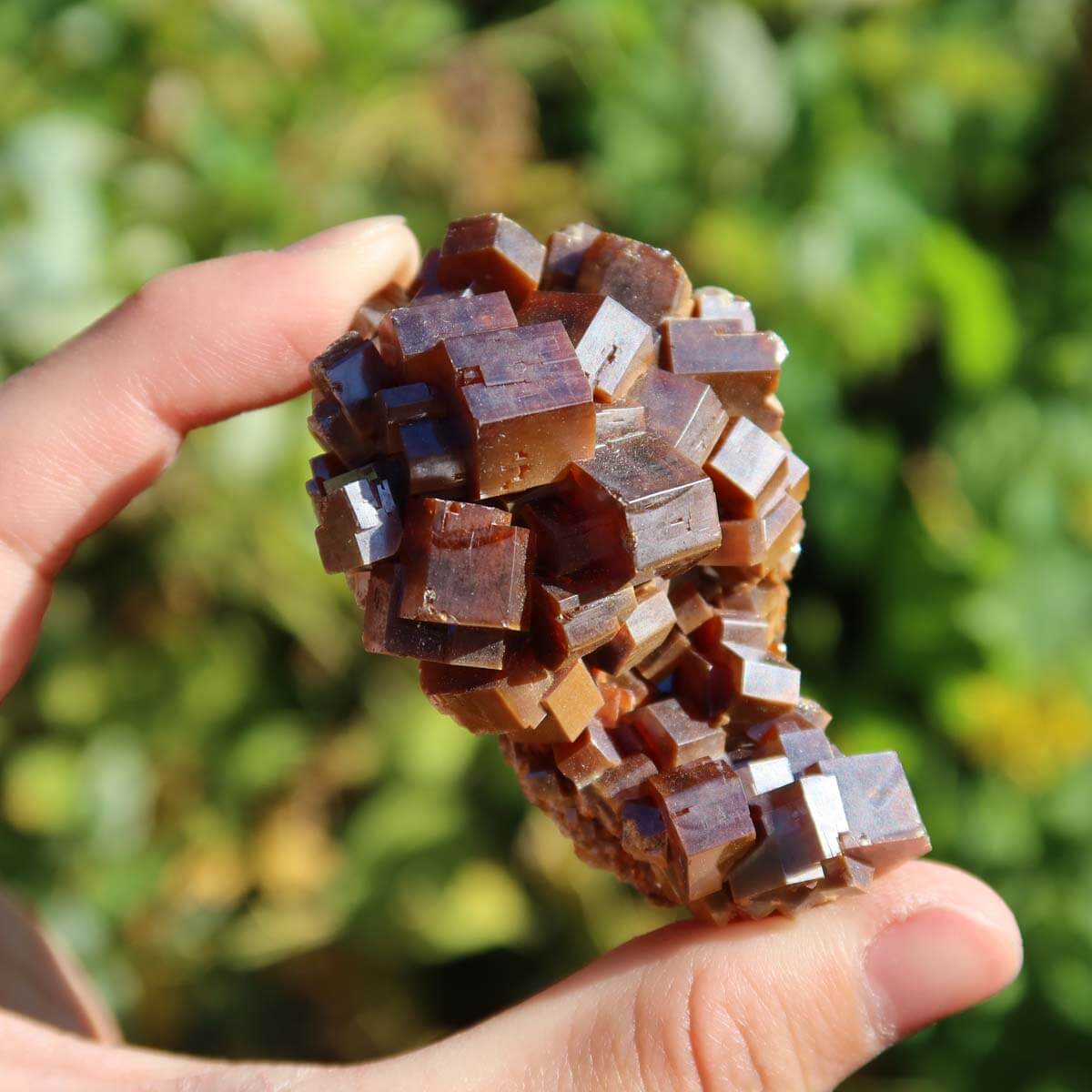 Vanadinit - Natürliche Kristallstufe aus Marokko 6x4x3,5cm - 0,15kg Nr.46, leuchtend rot-orange Kristalle in Hand.