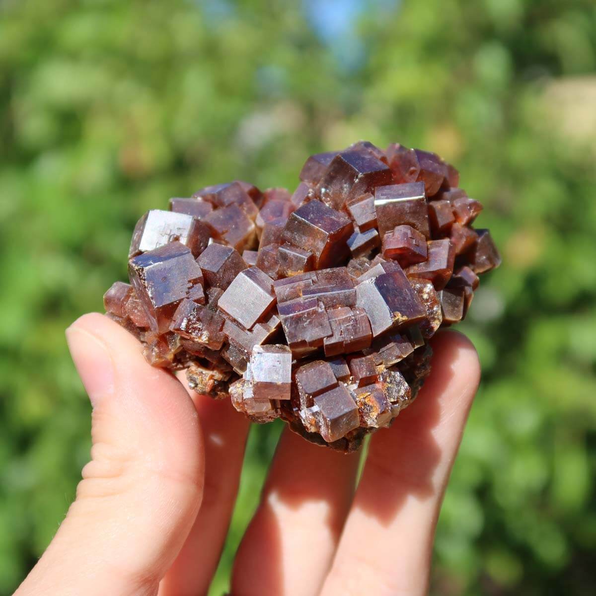 Vanadinit - Natürliche Kristallstufe aus Marokko 6x5x3cm - 0,18kg Nr.33, beeindruckende rote Kristalle in hexagonaler Struktur.