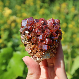 Vanadinit - Natürliche Kristallstufe aus Marokko 6x5x4cm - 0,31kg Nr.17 in der Hand, leuchtende Kristalle vor einer grünen Hintergrundpflanze.