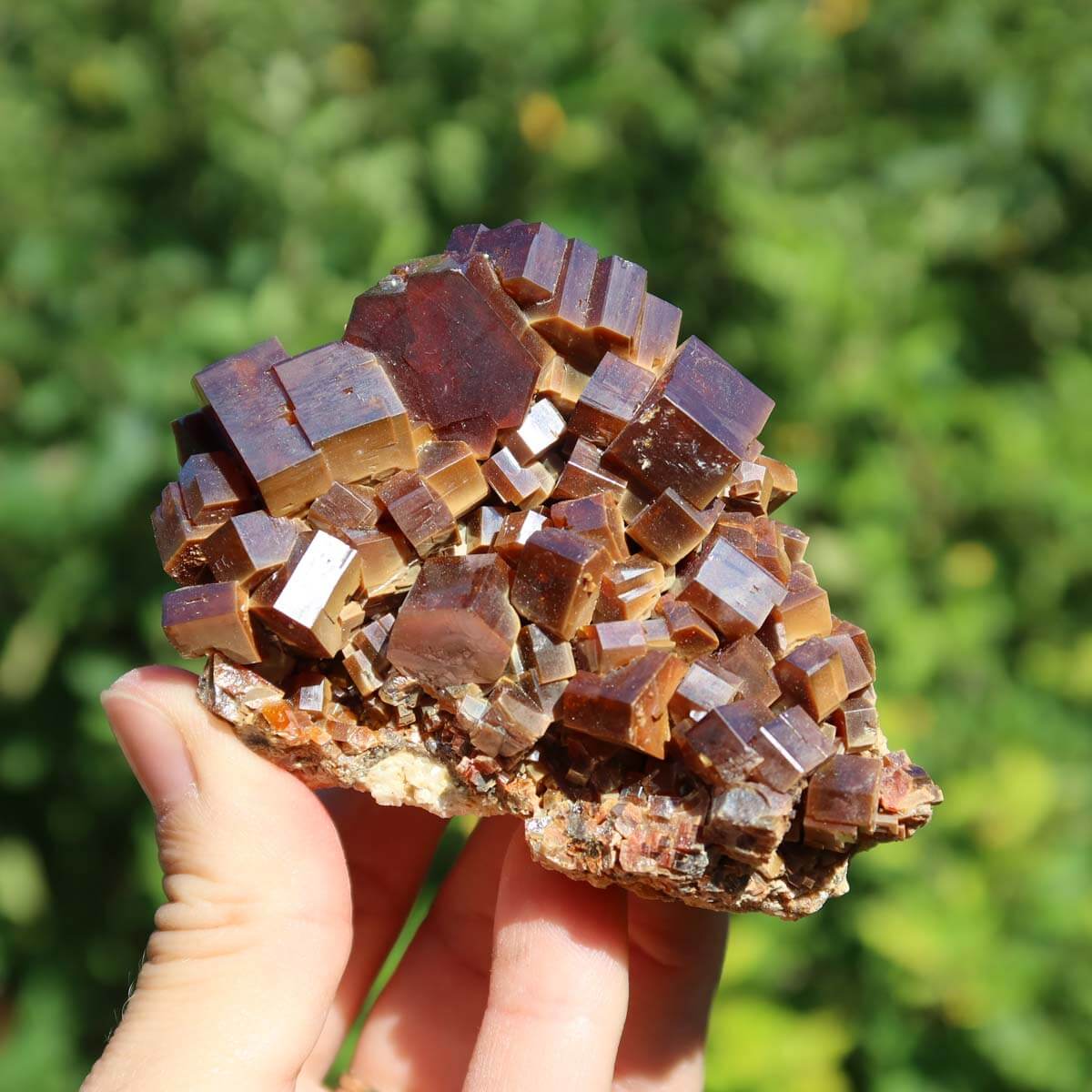 Vanadinit - Natürliche Kristallstufe aus Marokko 7,5x6x4cm - 0,3kg Nr.55 in der Hand, leuchtende Kristalle.