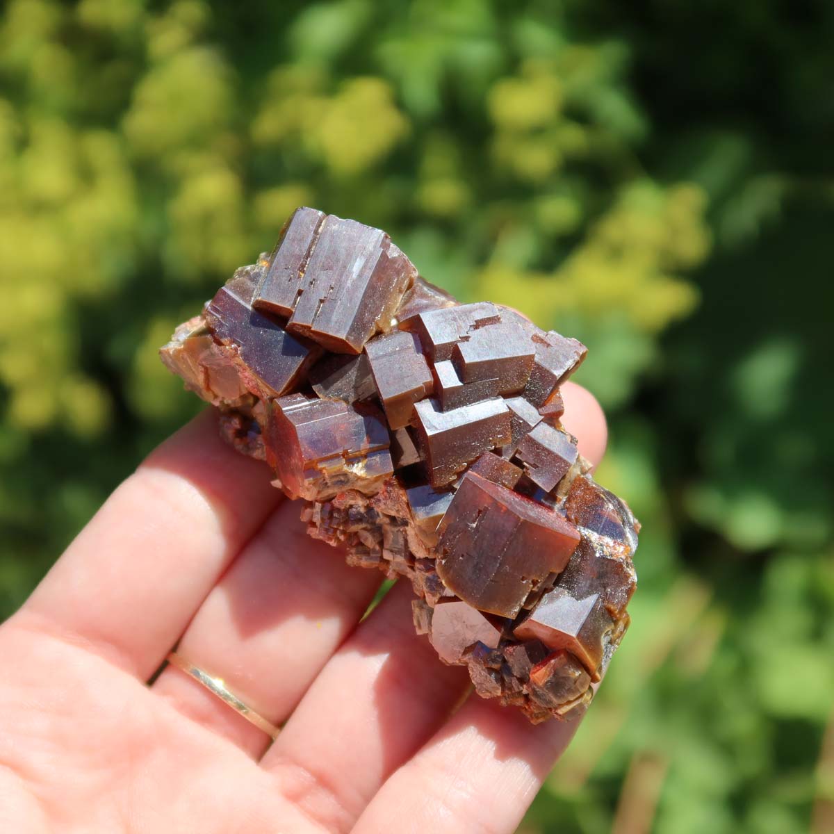 Vanadinit - Natürliche Kristallstufe aus Marokko 7x4x2,5cm - 0,16kg Nr.5 in Hand mit leuchtenden Kristallen.