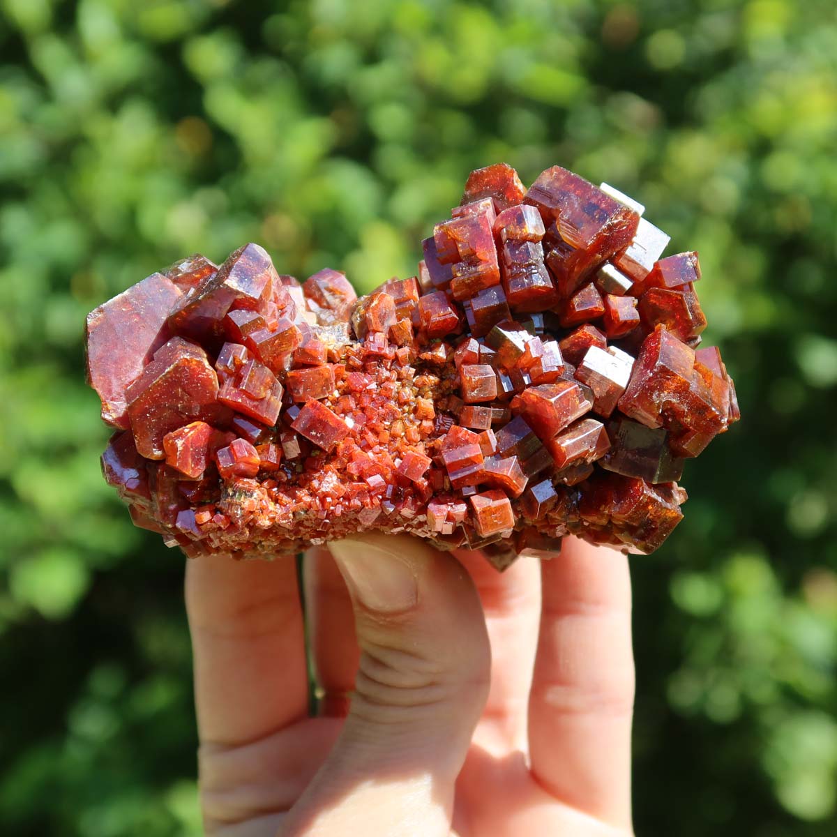 Vanadinit - Natürliche Kristallstufe aus Marokko 8x4,5x4cm - 0,3kg Nr.6 in leuchtendem Rot mit hexagonalen Kristallen.
