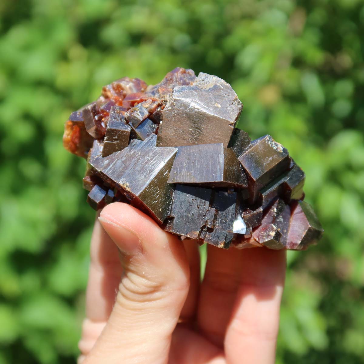 Vanadinit - Natürliche Kristallstufe aus Marokko 8x4x4cm - 0,3kg Nr.9 in der Hand mit grünem Hintergrund