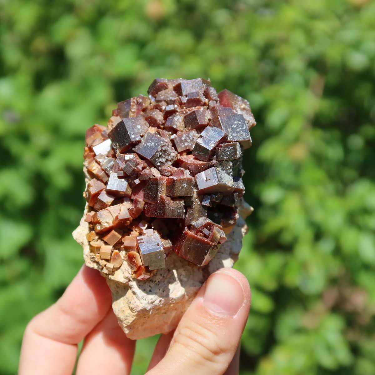 Vanadinit - Natürliche Kristallstufe aus Marokko 8x5x5cm - 0,32kg Nr.24 in Hand gehalten, leuchtende Kristalle.
