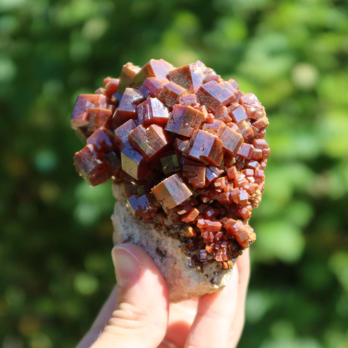 Vanadinit - Natürliche Kristallstufe aus Marokko 8x7x5cm - 0,35kg Nr.25 in Hand gehalten mit grünem Hintergrund.
