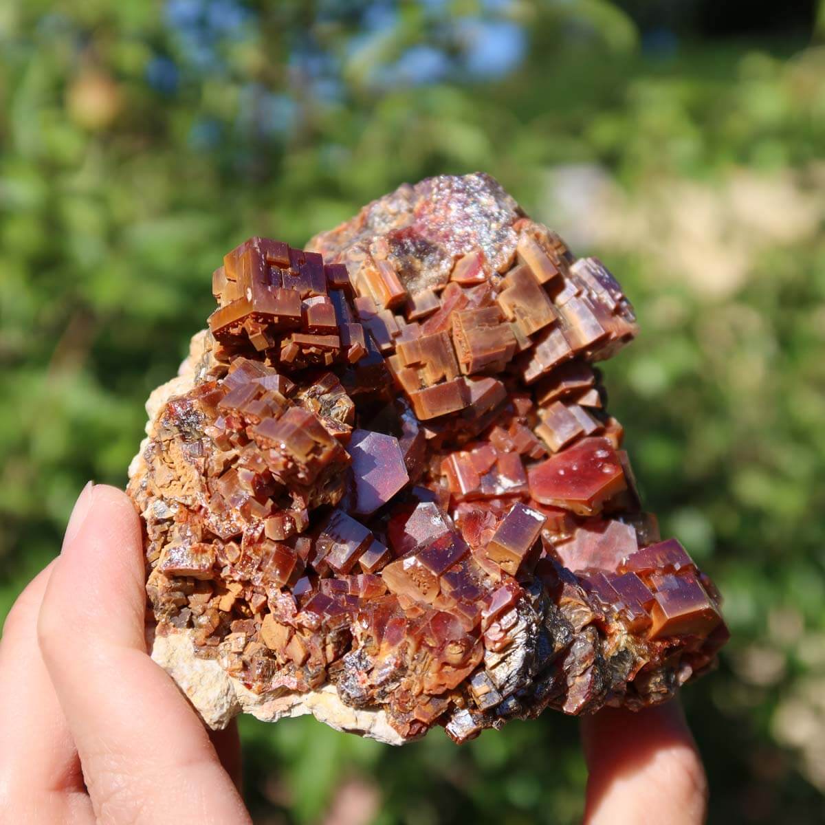 Vanadinit - Natürliche Kristallstufe aus Marokko 8x8x6cm - 0,56kg Nr.57 in der Hand gehalten, leuchtende Kristalle.