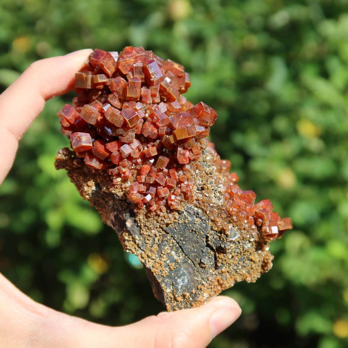 Vanadinit - Natürliche Kristallstufe aus Marokko 9x5x4,5cm - 0,24kg Nr.58 in Hand gehalten, leuchtend rot-orange Kristalle.