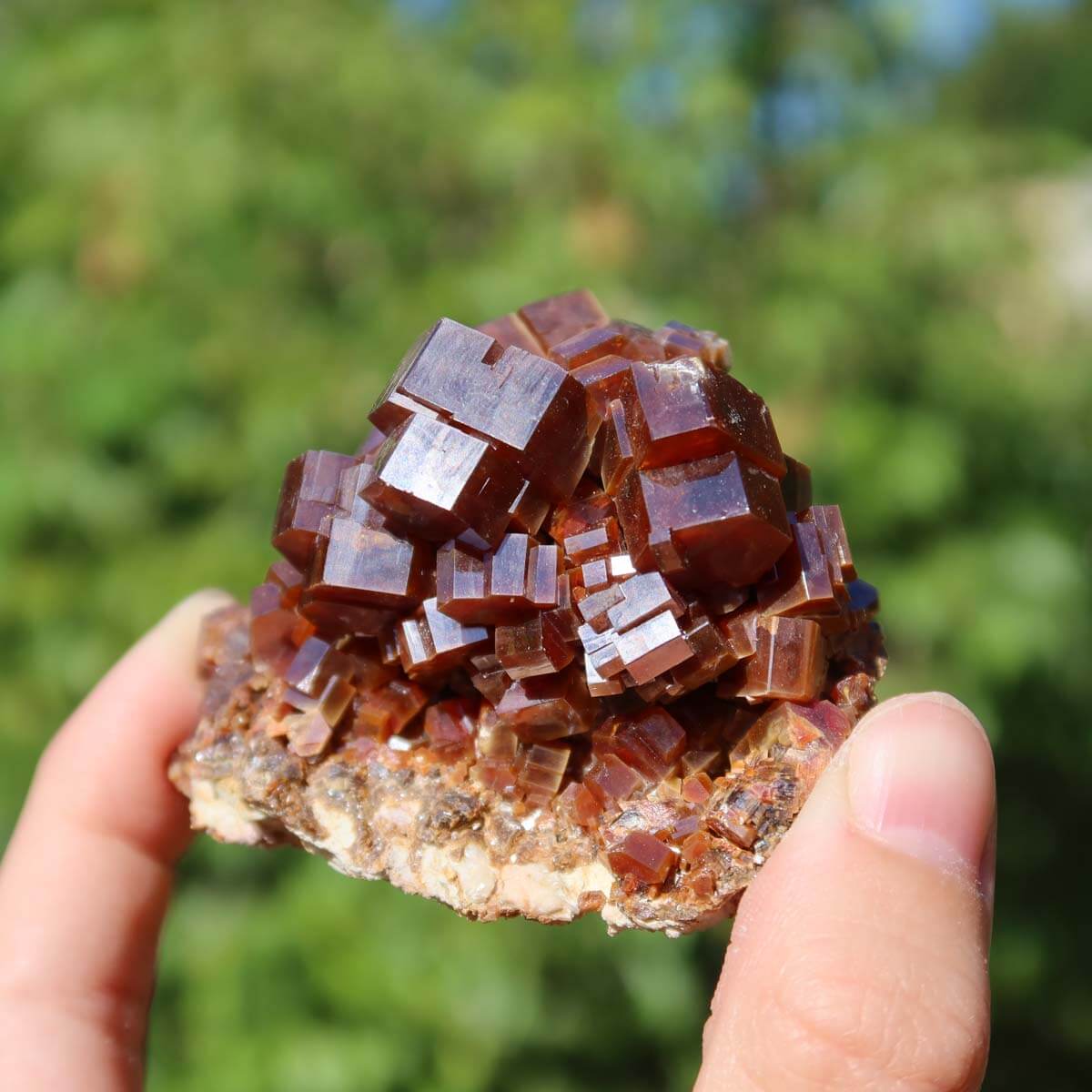 Vanadinit - Natürliche Kristallstufe aus Marokko 6x4,5x4,5cm - 0,19kg Nr.38 in einer Hand, leuchtende rot- bis orangefarbene Kristalle.