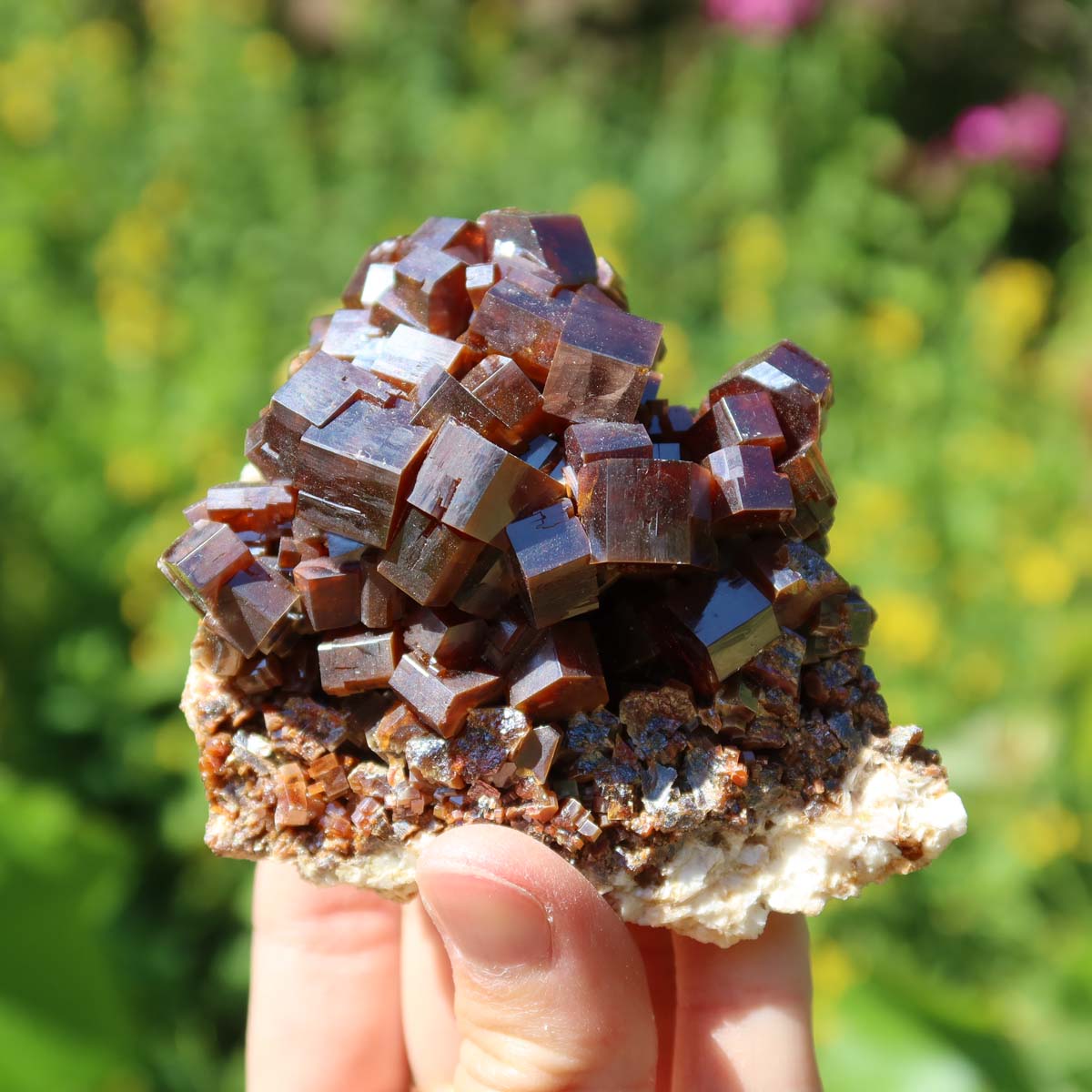 Vanadinit - Natürliche Kristallstufe aus Marokko 8x7x4cm - 0,34kg Nr.19 in einer Hand bei Sonnenlicht.