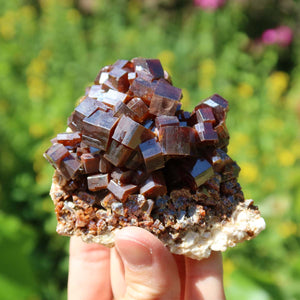 Vanadinit - Natürliche Kristallstufe aus Marokko 8x7x4cm - 0,34kg Nr.19 in einer Hand bei Sonnenlicht.