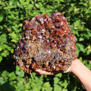 Vanadinit - Natürliche Kristallstufe aus Marokko 30x17x13cm - 8,2kg Nr.101 in der Hand, leuchtende Kristalle vor grünem Hintergrund.