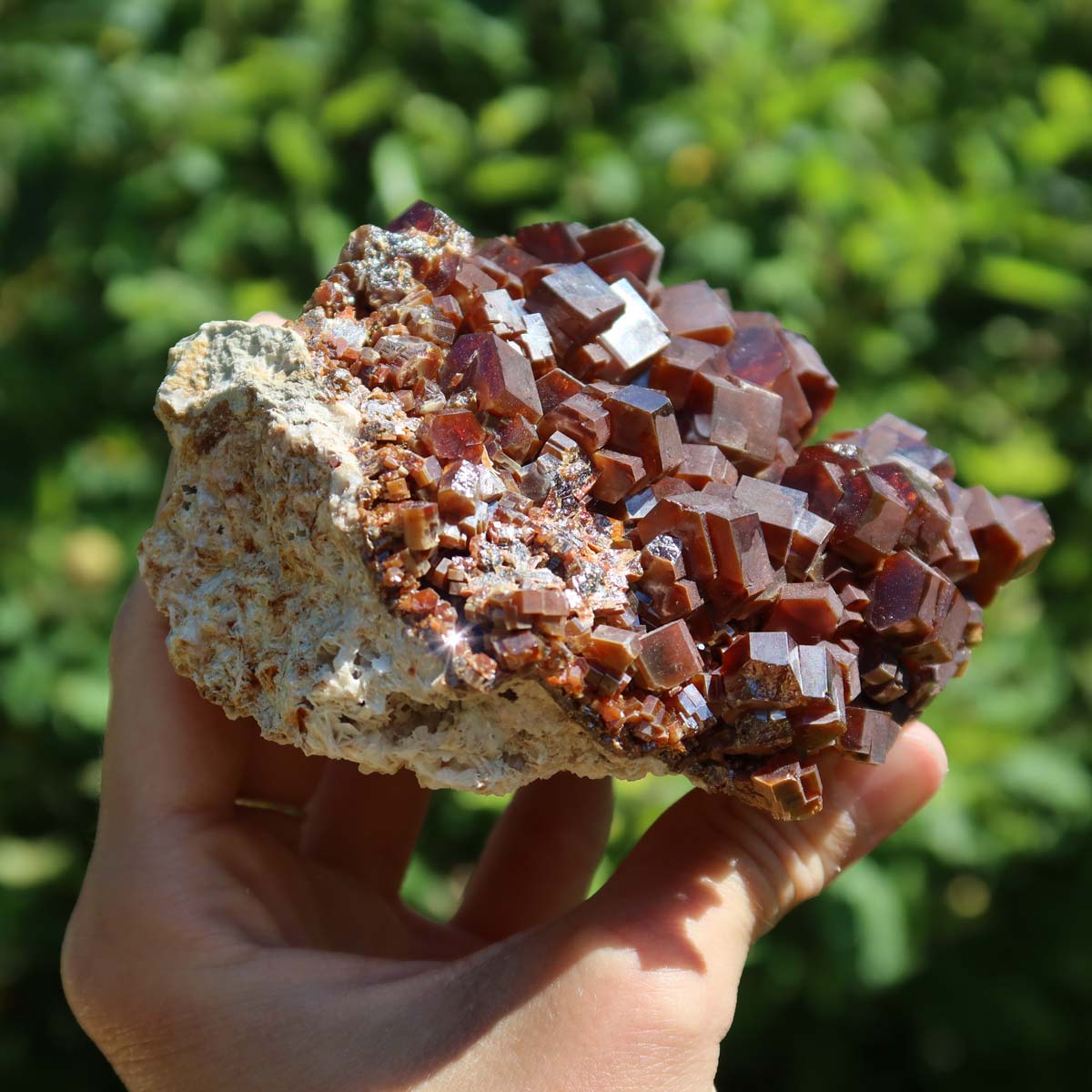 Vanadinit - Natürliche Kristallstufe aus Marokko 10x8x6cm - 0,74kg Nr.15 in Hand gehalten, glänzende Kristalle.