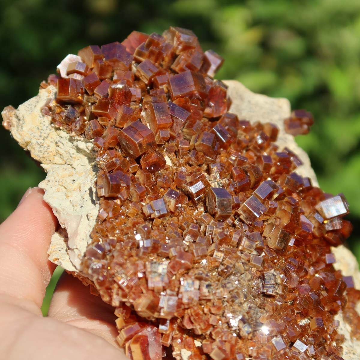 Vanadinit - Natürliche Kristallstufe aus Marokko 12x10x3cm - 0,48kg Nr.98 in der Hand mit leuchtenden Kristallen.