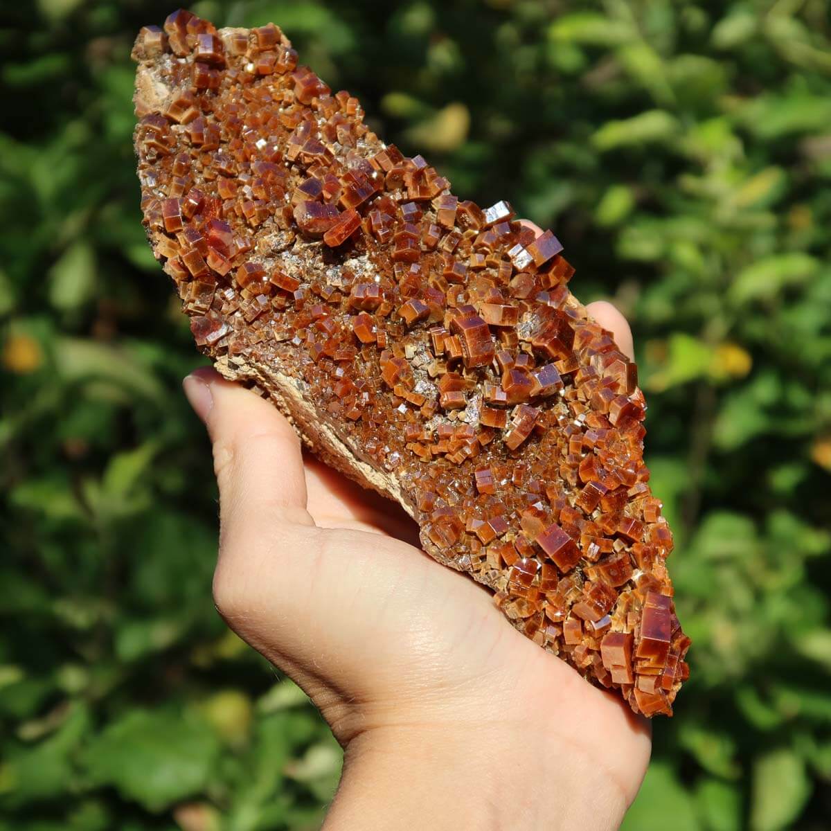 Vanadinit - Natürliche Kristallstufe aus Marokko 17x6x5cm - 0,7kg Nr.94 in Hand gehalten, leuchtend rot-orange Kristalle.