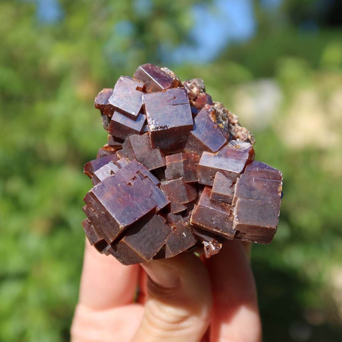 Vanadinit - Natürliche Kristallstufe aus Marokko 5,5x5x4cm - 0,2kg Nr.56 in einer Hand, leuchtende rote Kristalle