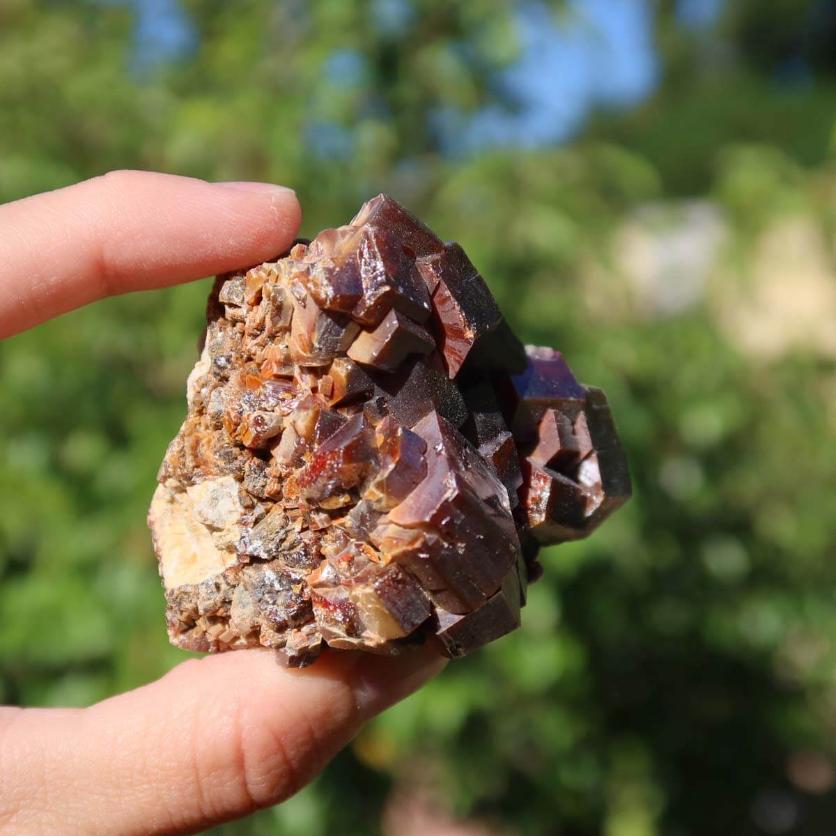 Vanadinit - Natürliche Kristallstufe aus Marokko 5,5x5x4cm - 0,2kg Nr.56 in einer Hand, leuchtende rote Kristalle