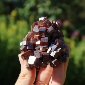 Vanadinit - Natürliche Kristallstufe aus Marokko 6x5x3cm - 0,18kg Nr.33 in der Hand, glänzende rote Kristalle.