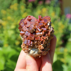 Vanadinit - Natürliche Kristallstufe aus Marokko 6x5x4cm - 0,31kg Nr.17 in Hand gehalten mit grüner Hintergrundpflanzen.