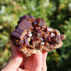 Vanadinit - Natürliche Kristallstufe aus Marokko 7,5x6x4cm - 0,3kg Nr.55 in der Hand, leuchtende Kristalle.