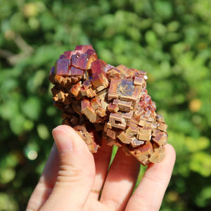 Vanadinit - Natürliche Kristallstufe aus Marokko 7x4,5x4,5cm - 0,22kg Nr.49 in Hand gehalten