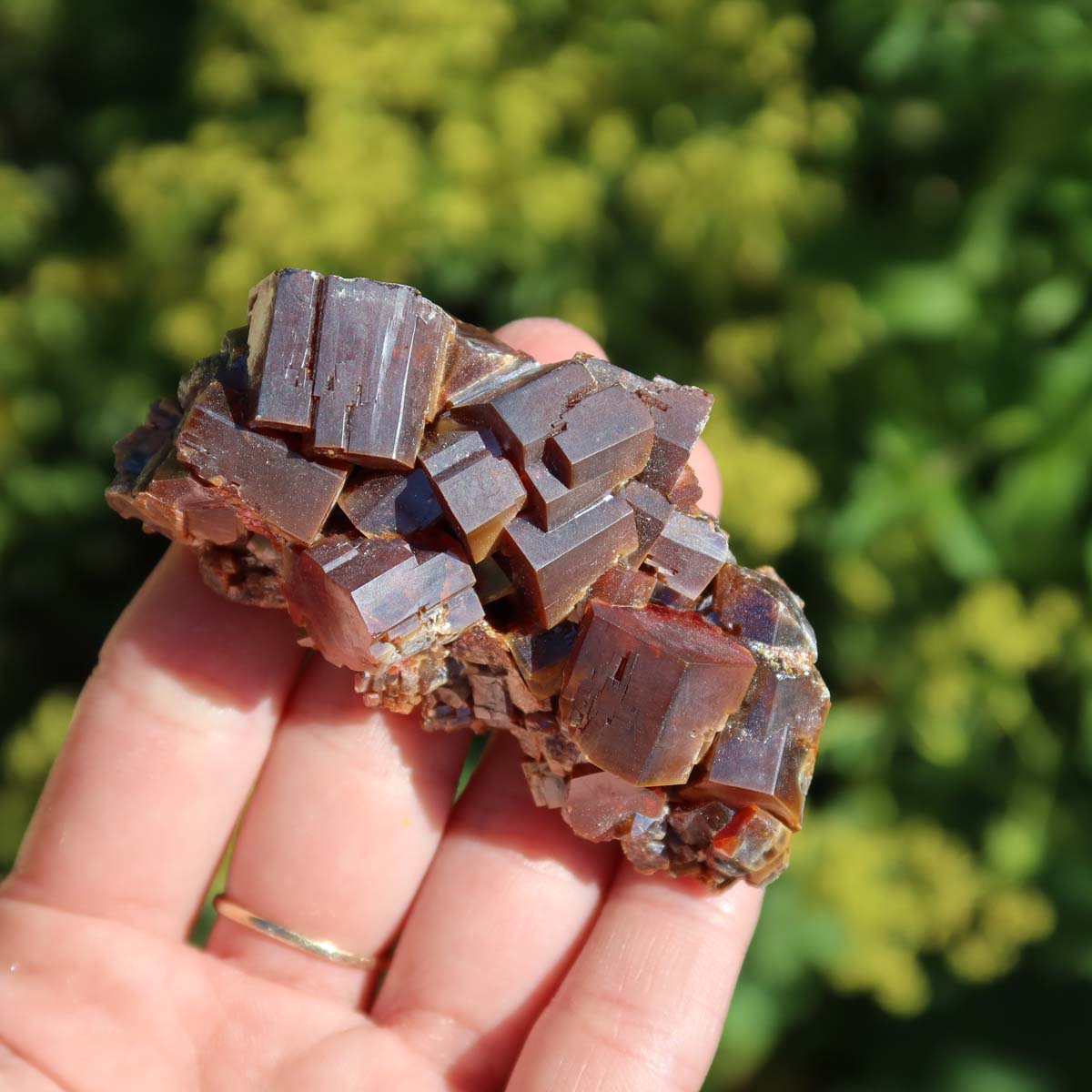 Vanadinit - Natürliche Kristallstufe aus Marokko 7x4x2,5cm - 0,16kg Nr.5 in Hand mit leuchtenden Kristallen.