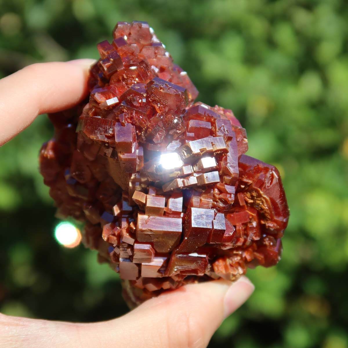 Vanadinit - Natürliche Kristallstufe aus Marokko 8,5x6x4,5cm - 0,45kg Nr.43 in der Hand gehalten mit leuchtend roten Kristallen.