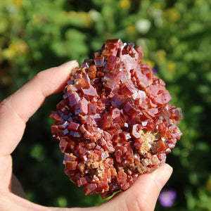 Vanadinit - Natürliche Kristallstufe aus Marokko 8x6x3,5cm - 0,3kg Nr.48 in Hand, glänzende rote Kristalle.