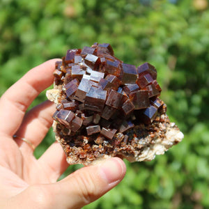 Vanadinit - Natürliche Kristallstufe aus Marokko 8x7x4cm - 0,34kg Nr.19 in der Hand