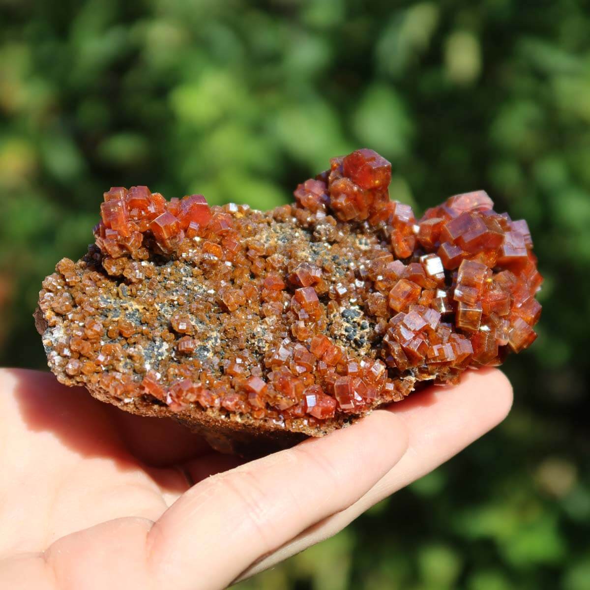 Vanadinit - Natürliche Kristallstufe aus Marokko 9x5x4,5cm - 0,24kg Nr.58 in Hand gehalten, leuchtend rot-orange Kristalle.