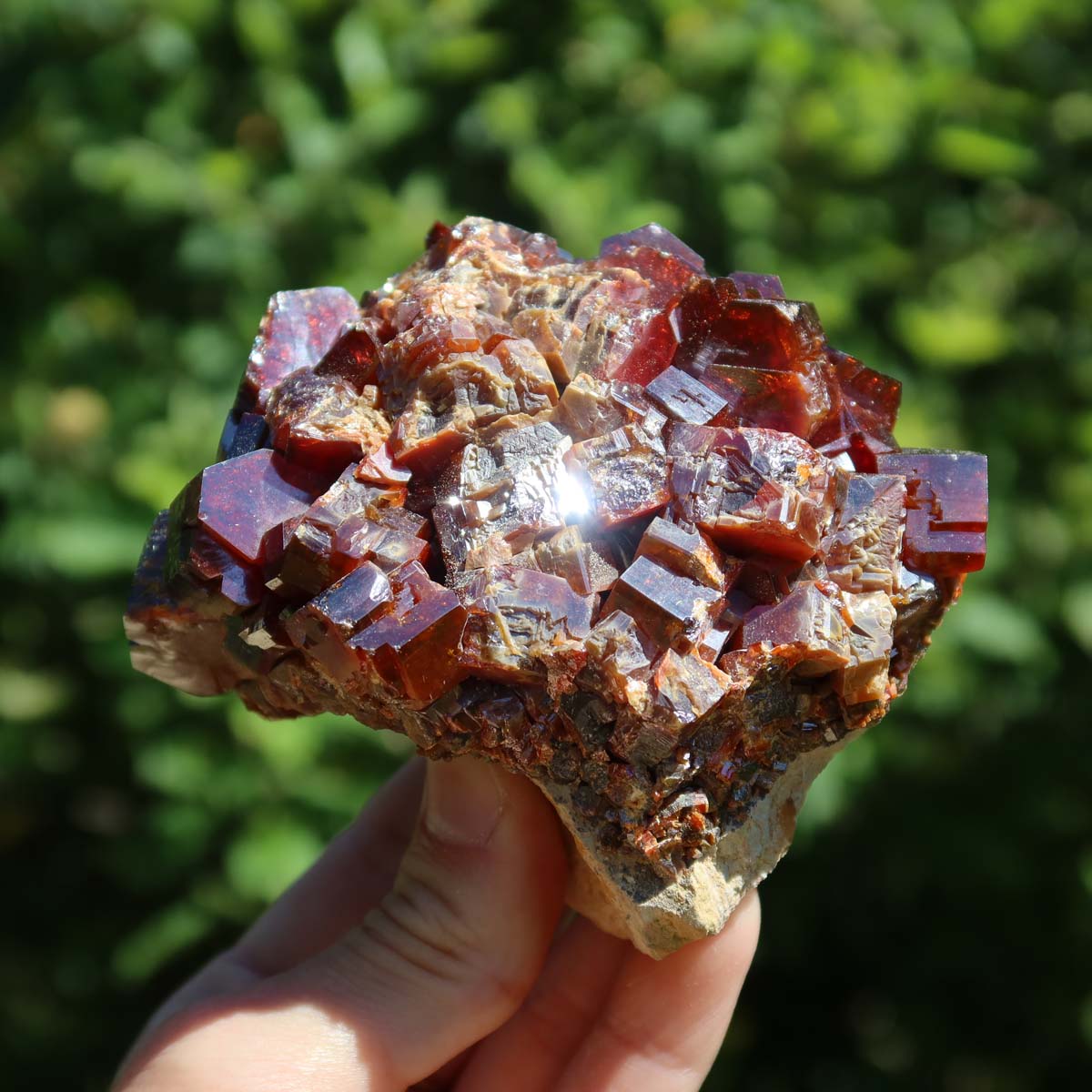 Vanadinit - Natürliche Kristallstufe aus Marokko 9x7x6cm - 0,7kg Nr.7 in der Hand gehalten, leuchtende Kristalle.