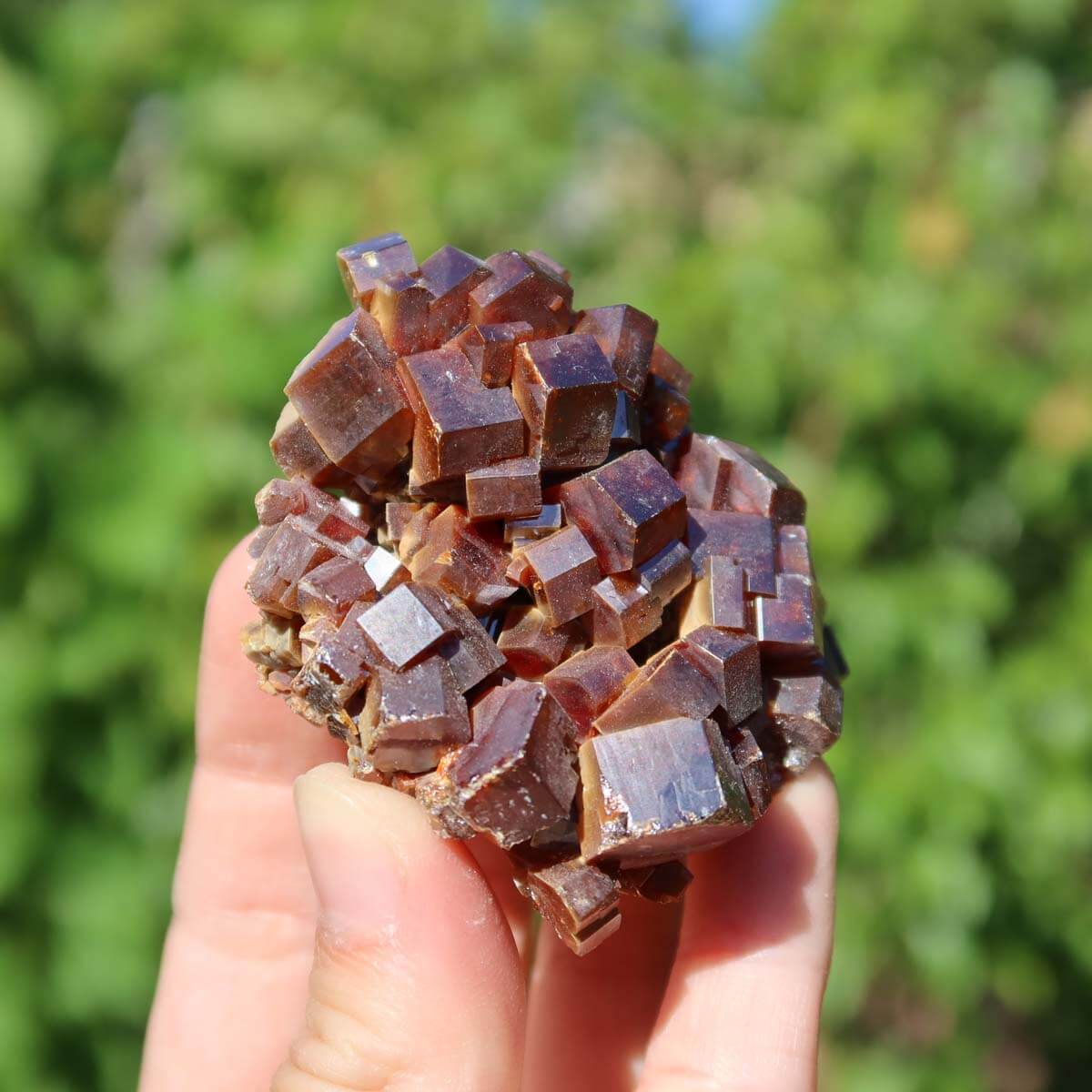 Vanadinit - Natürliche Kristallstufe aus Marokko 6x5x3cm - 0,18kg Nr.33, beeindruckende rote Kristalle in hexagonaler Struktur.