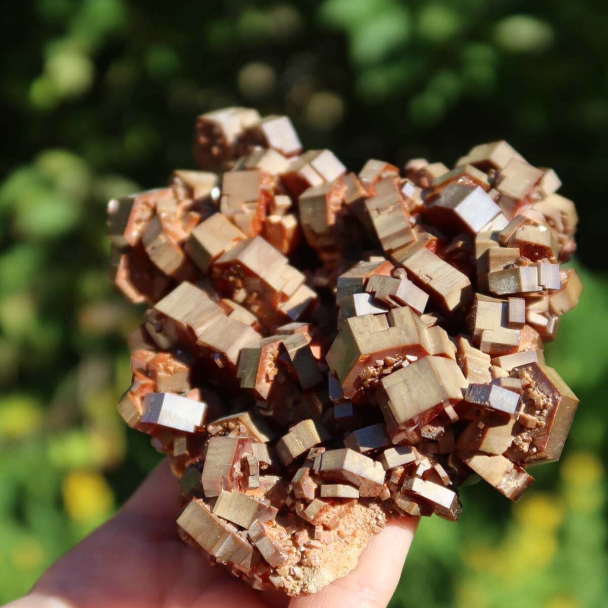 Vanadinit - Natürliche Kristallstufe aus Marokko 10x9x3,5cm - 0,47kg Nr.45 in Hand gehalten, leuchtende rote und orangefarbene Kristalle.