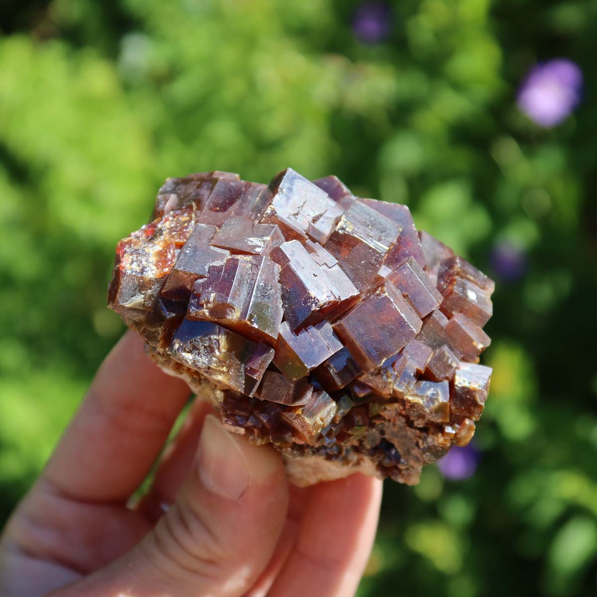 Vanadinit - Natürliche Kristallstufe aus Marokko 6x5x4cm - 0,26kg Nr.22 in der Hand mit grüner Natur im Hintergrund