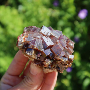 Vanadinit - Natürliche Kristallstufe aus Marokko 6x5x4cm - 0,26kg Nr.22 in der Hand mit grüner Natur im Hintergrund