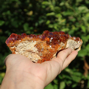 Vanadinit - Natürliche Kristallstufe aus Marokko 17x6x5cm - 0,7kg Nr.94 in der Hand gehalten.