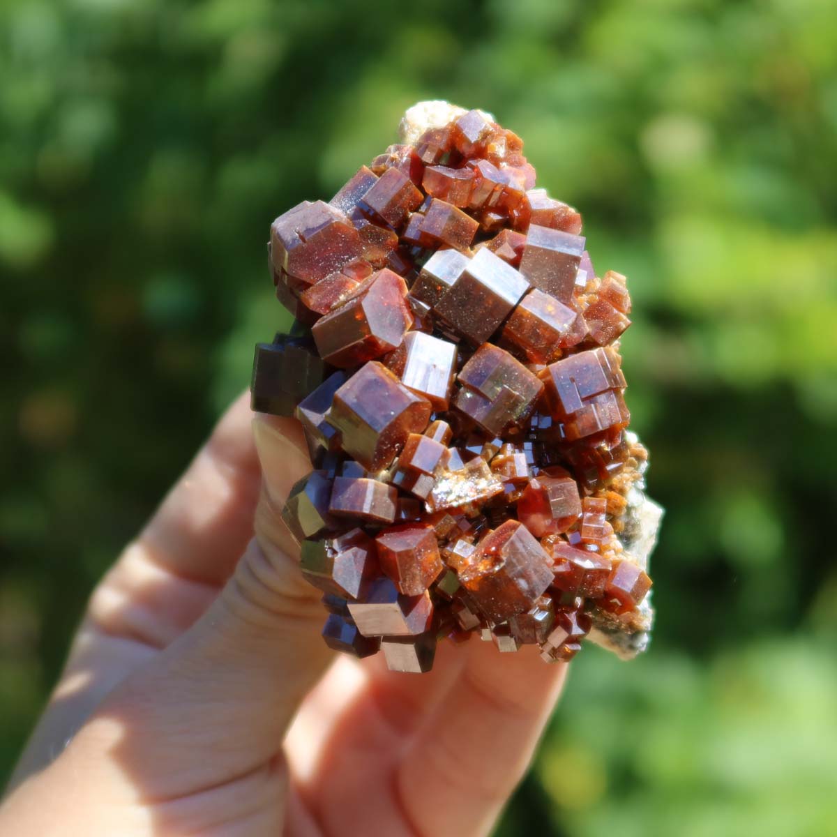 Vanadinit - Natürliche Kristallstufe aus Marokko 7x4,5x4cm - 0,2kg Nr.26 in der Hand gehalten