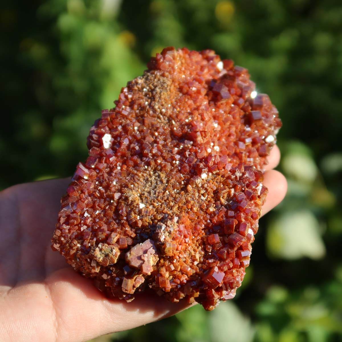 Vanadinit - Natürliche Kristallstufe aus Marokko 10x6x3,5cm - 0,32kg Nr.92, leuchtend rote Kristalle in Hand.