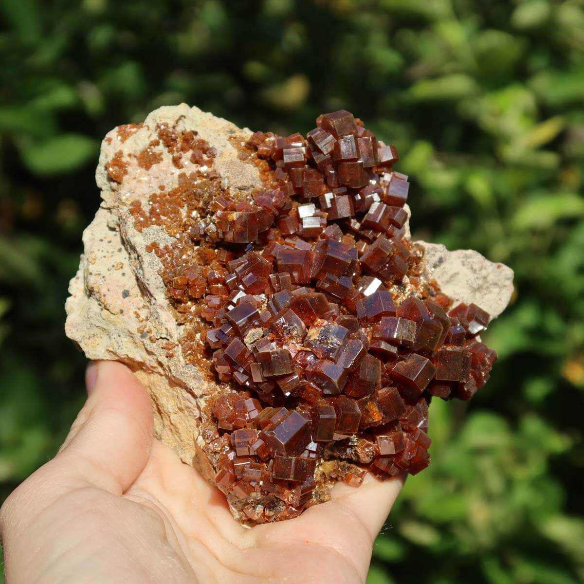 Vanadinit - Natürliche Kristallstufe aus Marokko 10x8x5cm - 0,54kg Nr.97 in einer Hand gehalten.