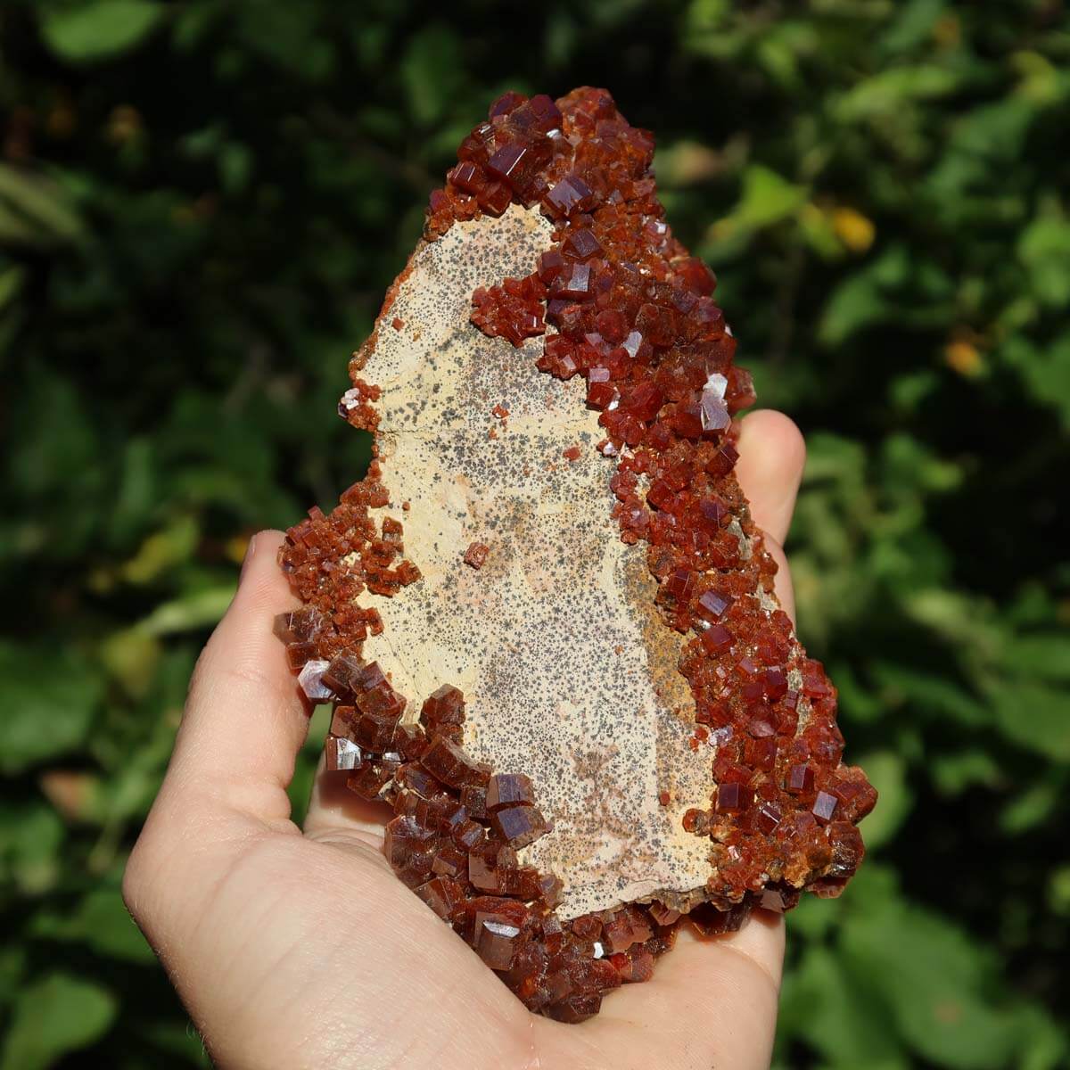 Vanadinit - Natürliche Kristallstufe aus Marokko 13x7x5,5cm - 0,45kg Nr.93 in Hand gehalten mit leuchtenden Kristallen.